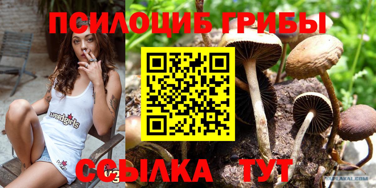 сколько стоит  Вход с VPN  Владимир  Галлюциногенные грибы Cubensis 