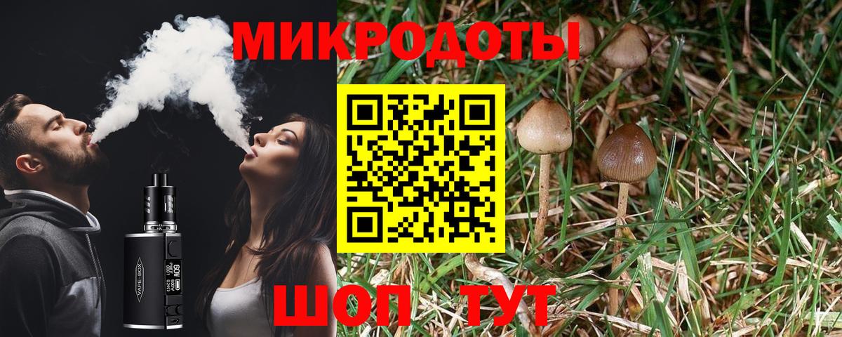 Псилоцибиновые грибы прущие грибы Владимир
