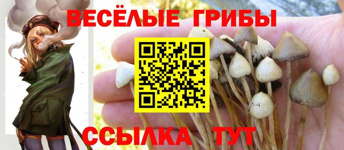Каннабис  Владимир  Вейп ТГК  Меф МЯУ МЯУ кристаллы  Меф МЯУ МЯУ  ГАШИШ  Вход с VPN 